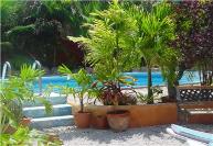 Bonaire - Coco Palm Garden Ferienwohnungen - swimmingpool