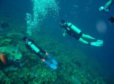 scuba diving - shore diving  - Caribbean